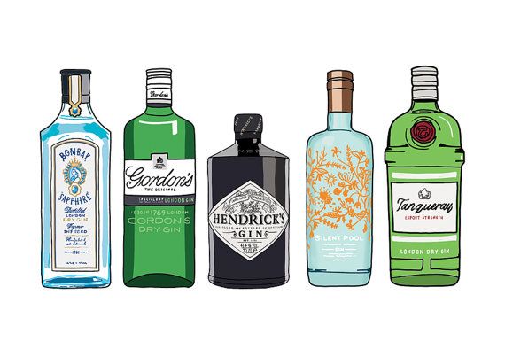 'Gin Fun Facts' - Did you know?