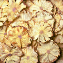 Botanica Dehydrated Pineapple 80 g